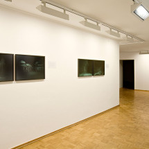Sven Johne Wanderung durch die Lausitz, 2006 Diptychon, Infrarotfotografie, jeweils 50 × 60 cm Privatsammlung Berlin