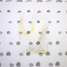 Modern Flats Have Air Conditioning, burned ink-jet print on paper, dimensions variable, Stian Ådlandsvik and Lutz-Rainer Müller, 2010.  Courtesy the artists and MOT International