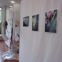 Studiobühne der Universität Paderborn. Miriam Nowak, Waschgang # 1-6, 2011, Fotografien, 30x40 cm. Nadine Neuwinger, Baum des Wissens, 2012, mixed media, 70x 220x70 cm. Foto: Alexa Ilievska